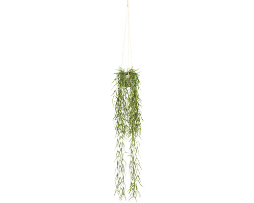 Kunstplant Tillandsia aeranthos groen in hangpot H 90 cm