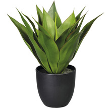 Kunstmatige agave in een pot
