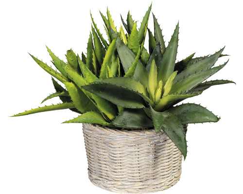 Kunstplant Sanseveria groen in pot H 70 cm