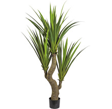 Kunstmatige drakenboom kamerplant in pot