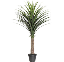 Kunstmatige Drakenboom in pot