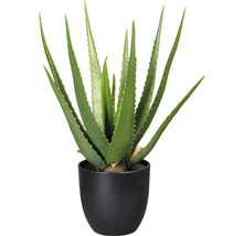 Kunstmatige Aloe Vera plant in pot
