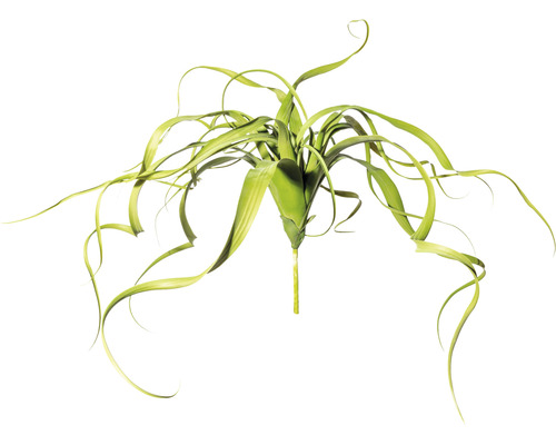 Kunstplant Tillandsia groen in hangpot H 65 cm