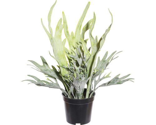 Kunstplant Platycerium mix groen in pot H 40 cm
