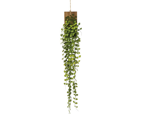 Kunstplant Muehlenbeckia rank op hout groen H 123 cm