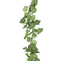 Decoratieve klimop slinger voor binnenshuis