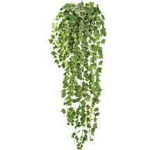 Klimop slinger met groene bladeren