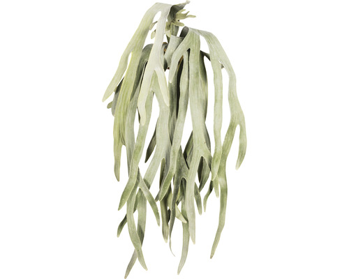 Kunstplant Hertshoornvaren hangplant groen grijs H 80 cm