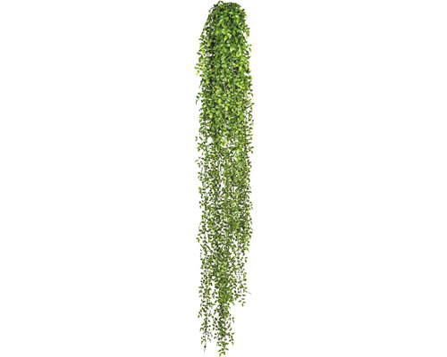 Kunstplant Ruscus hanger groen H 160 cm