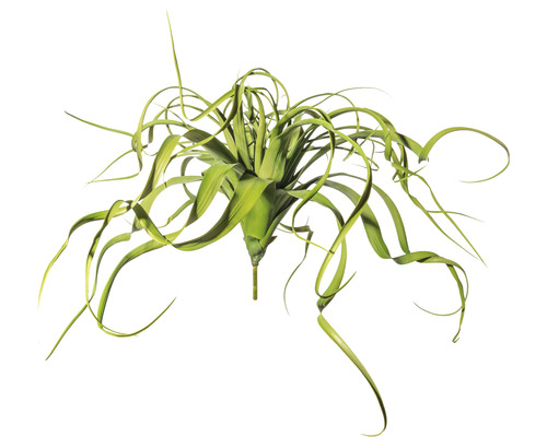 Kunstplant Tillandsia groen in hangpot H 70 cm