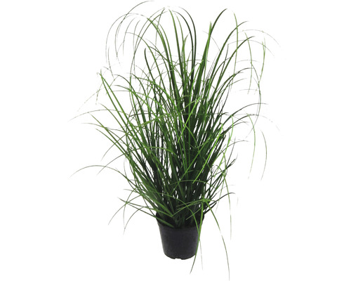 Kunstplant Siergras groen in pot H 60 cm