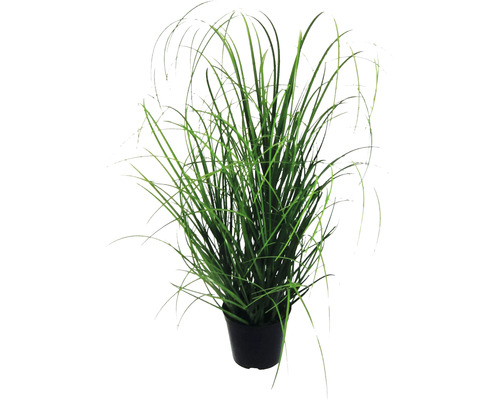 Kunstplant Siergras groen in pot H 75 cm