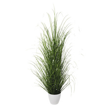 Decoratief siergras in een witte pot