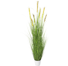 Kunst siergras in pot als decoratie voor binnen