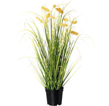 Siergras in pot als decoratie