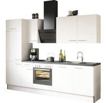Complete keuken met kasten, gootsteen, fornuis en afzuigkap