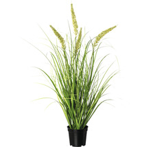 Kunst siergras in pot