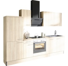 Moderne inbouwkeuken met spoelbak, fornuis, oven en afzuigkap.
