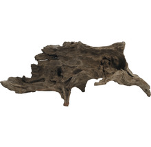 Wortelhout voor aquariumdecoratie