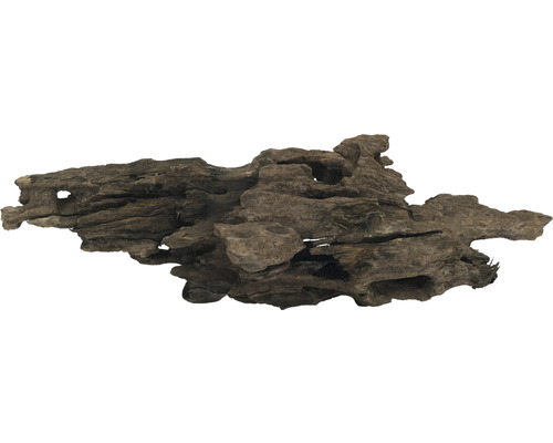 ORBIT Decoratie Caryqa wortel bruin large 30-40 cm Decoratieve wortel van hout voor aquaria