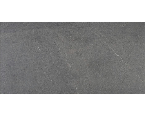 Wand- en vloertegel Belvieux graphite 30x60 cm