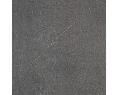 Wand- en vloertegel Belvieux graphite 60x60 cm gerectificeerd