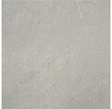 Wand- en vloertegel Belvieux grijs mat 60x60 cm gerectificeerd