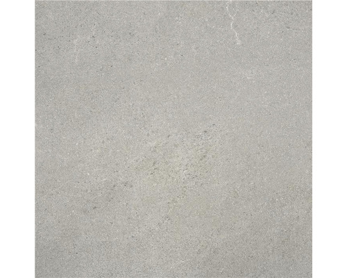 Wand- en vloertegel Belvieux grijs mat 60x60 cm gerectificeerd
