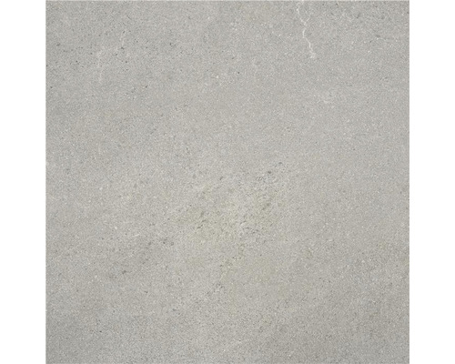 Wand- en vloertegel Belvieux grijs mat 60x60 cm gerectificeerd Tegel met mat oppervlak