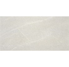 Wandtegel Belvieux lichtgrijs 30x60 cm