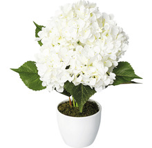 Kunsthortensia in witte pot