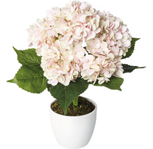 Kunsthortensia in pot