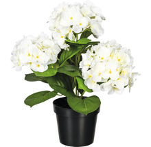 Kunstplant Hortensia wit in pot H 32 cm