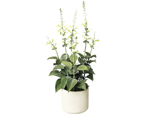 Kunstplant Salie wit in pot H 45 cm