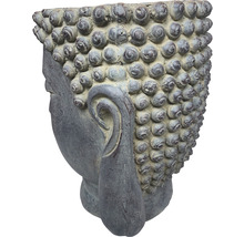Boeddha hoofd plantenbak van steen