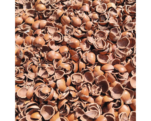 Stapel lege hazelnootschalen