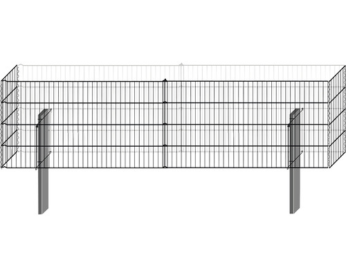 BELLISSA Schanskorf basisset Limes, hoogte 150 cm