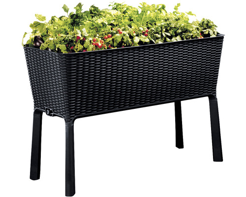 Verhoogde plantenbak met planten in zwarte mandvlechtwerk