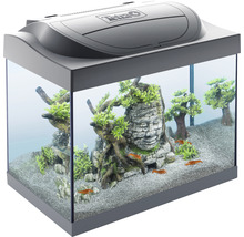 TETRA Aquarium set Starter Line kunststof zwart LED 30 L, 41x30x25 cm