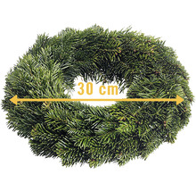 Denkrant met een diameter van 30 centimeter