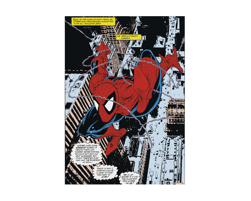 MARVEL Schilderij canvas Spider-Man Comic 50x70 cm
