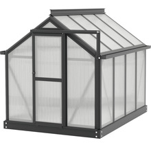 Kas met open deur voor het kweken van planten