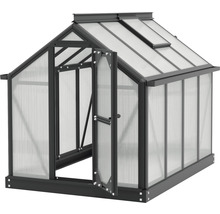 Kas met openstaande deur en dakraam