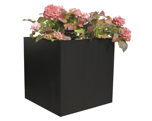 Kubusvormige plantenbak met hortensia beplanting