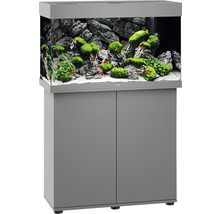 Aquariumcombinatie met kast en interieur met vissen, stenen en planten