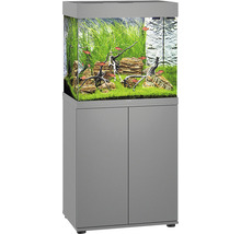 Complete aquariumset met kast, vissen en beplanting