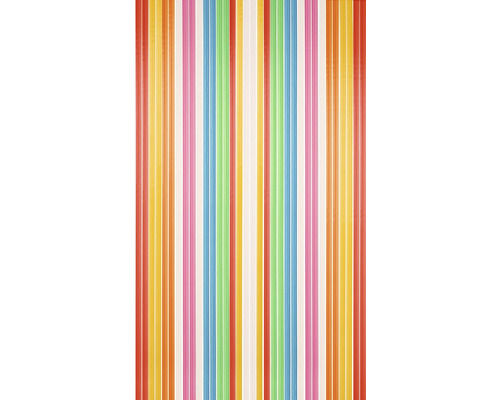 CONACORD Deurgordijn pvc strepen multicolor 90x200 cm