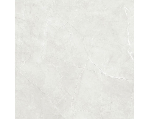 Wand- en vloertegel Teka lichtgrijs glanzend 60x60 cm gerectificeerd Tegelpatroon met marmerstructuur