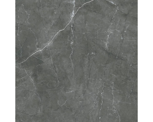 Wand- en Vloertegel Teka grijs gepolijst 60x60 cm gerectificeerd