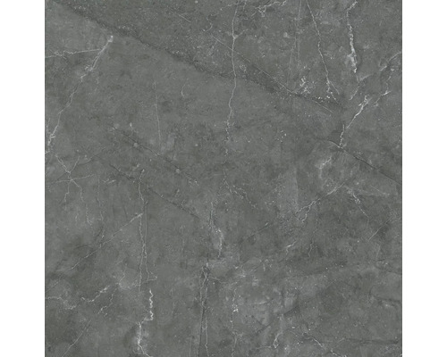 Grijze vloertegel met marmerlook